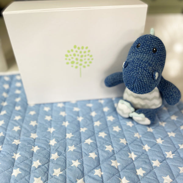 Personalised New Baby Gift Box - Blue Play Mat