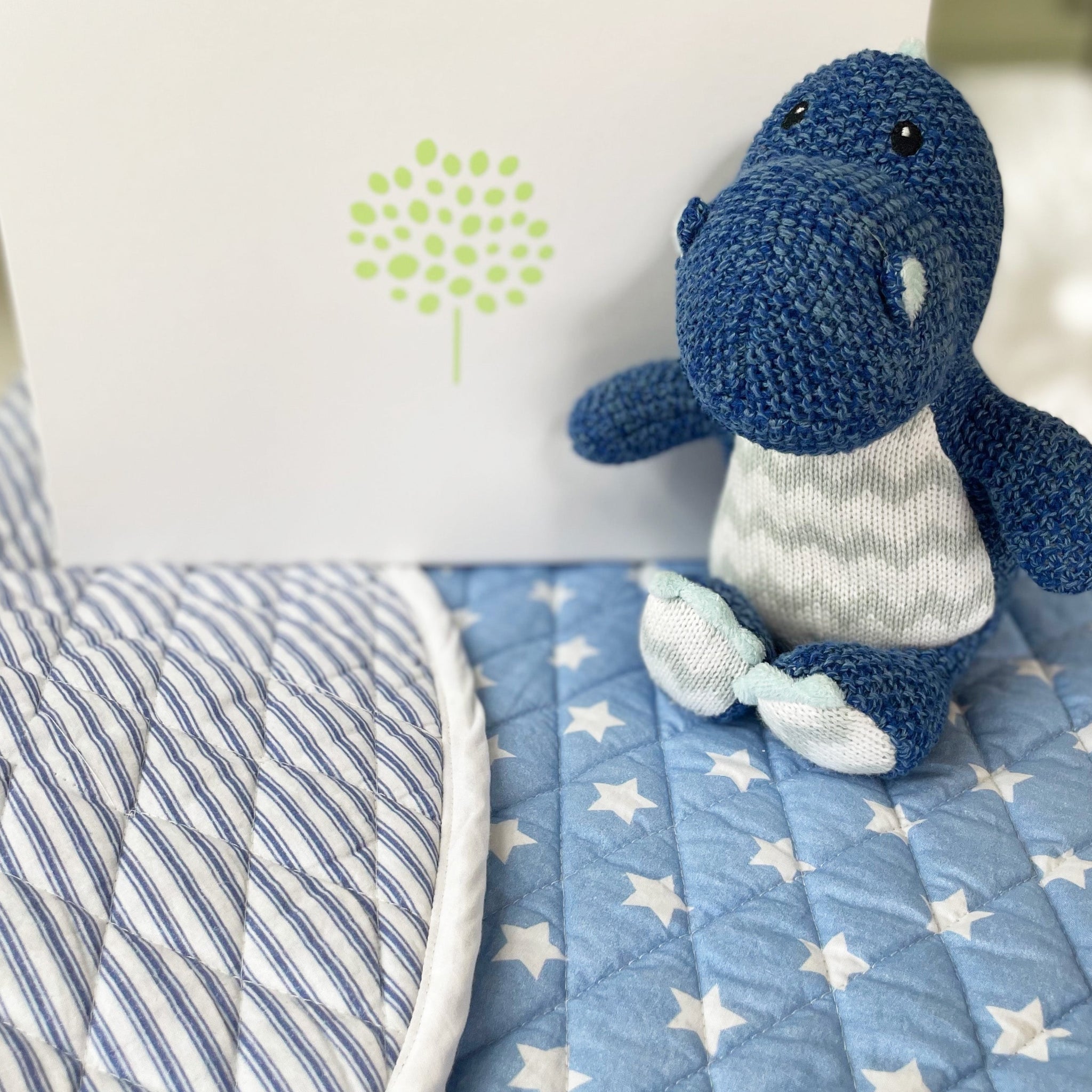 Personalised New Baby Gift Box - Blue Play Mat